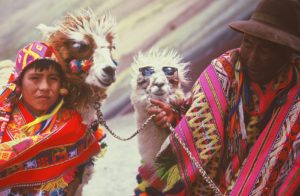 Two native Peruvians and their beloved llamas
