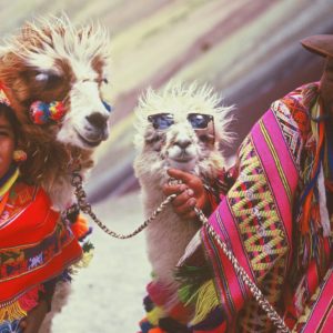 Two native Peruvians and their beloved llamas